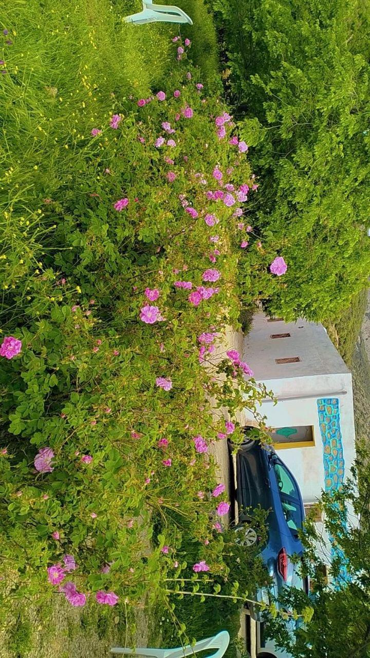 Gite Dayet Chiker ターザ エクステリア 写真